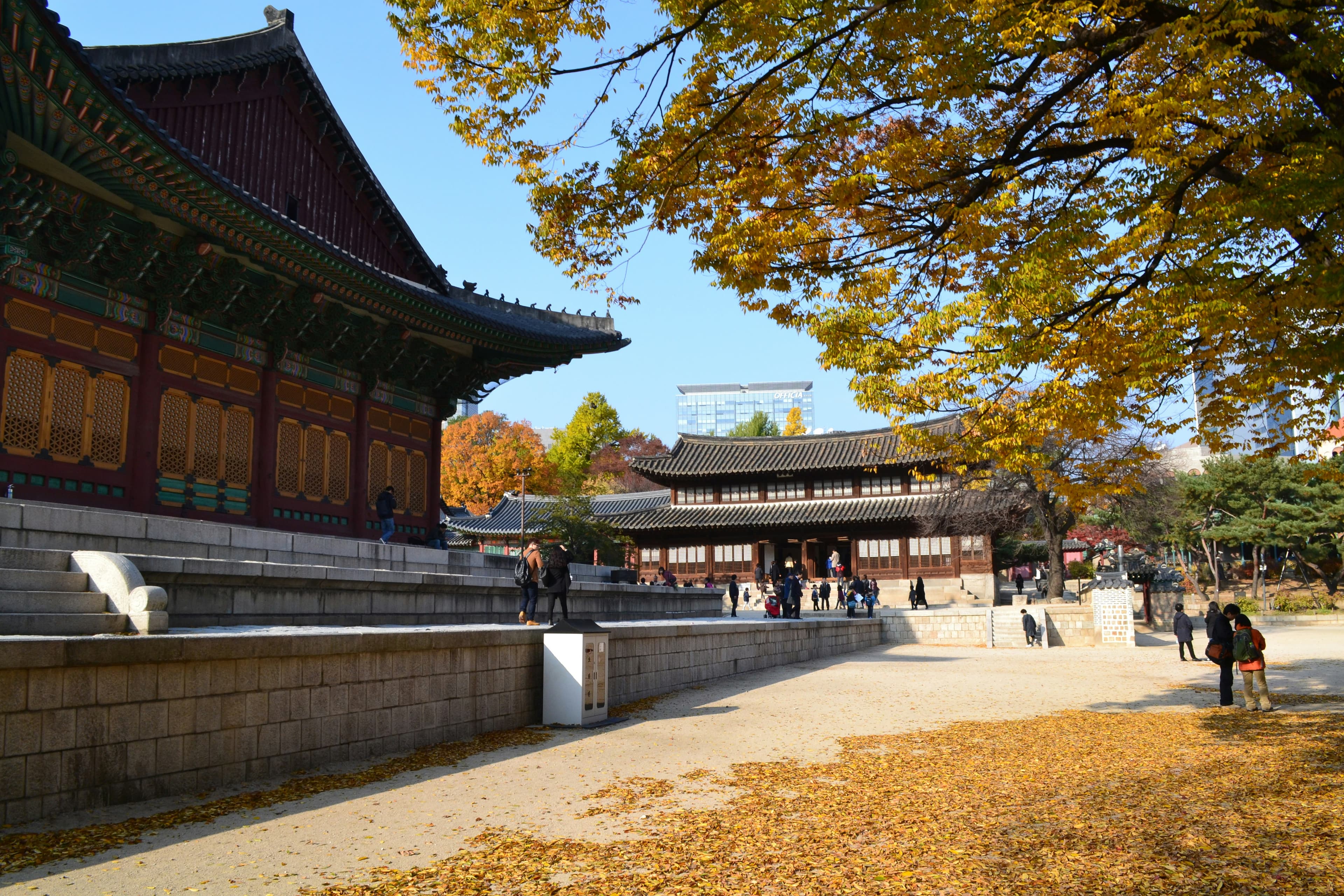 Extraordinary in every month of the year — Crimson autumn foliage